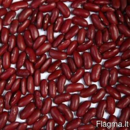 Фасоль Quality 3D beans from Kyrgyzstan