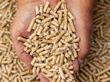 EN Plus-A1 Wood Pellets Wholesale Europe Wood Pellet In 15kg Plastic Bag - фото 1