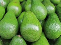 Avocado