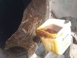 Bakų nuosėdos (saulėgrąžų aliejaus nuosėdos)