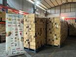 Bulk Stock Available Organic Refined Rapeseed Canola Cooking Oil in Plastic Bottle/Drum - фото 2