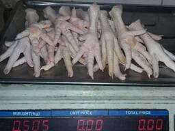 Chicken Feet and chicken paws and whole halal chicken at the best prices with prompt shipp