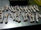 Chicken Feet and chicken paws and whole halal chicken at the best prices with prompt shipp - фото 1
