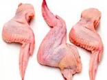 Chicken Wings - фото 3