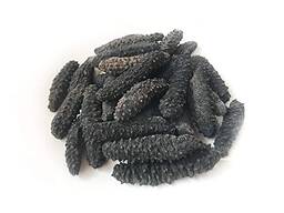 Dried Sea Cucumber