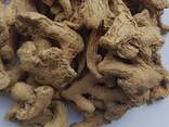 Dry Whole Ginger from Vietnam - фото 3