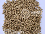 EN-Plus A1 wood pellets from direct producer - фото 1