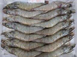Frozen Vannamei HLSO Shrimp