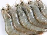 Frozen Vannamei HLSO Shrimp - фото 1