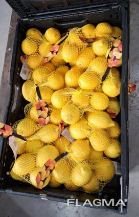 Vaisiai iš Ispanijos