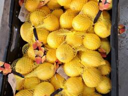 Vaisiai iš Ispanijos