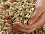 100% Pine Pellet. Certification ENplus A1, A2 European Wood Pellets Export - фото 2