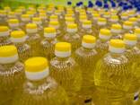 I will sell sunflower oil raf / dez 1l and 5 L FCA - фото 1