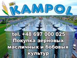 Куплю ПРОСО