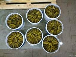 Marinuoti agurkai (fermentuoti).