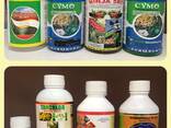 Modern Insecticide Limited Dubai - фото 2