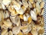 Мороженные морепродукты и рыба в Литву от завода из Китая - фото 10