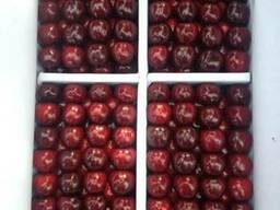 Овощи и фрукты из Таджикистана и Узбекистана