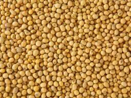 Parduodu sojų pupeles su pristatymu klientui