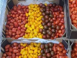 Помидор розовый, красный, сливка, черри (производство Польша)