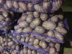 Potato, Bulvės, kartupeļi Kartoffel