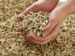 Premium wood pellets - фото 1