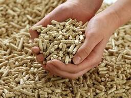 Premium wood pellets