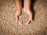 Premium wood pellets - фото 2