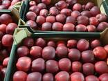 Продам яблоки из Польши - фото 8