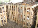 Продаём дрова колотые - фото 2