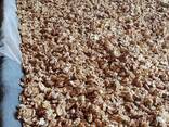Продаём грецкий орех от тонны - фото 1