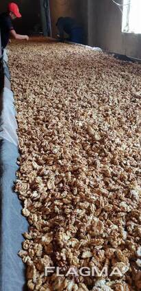 Продаём грецкий орех от тонны