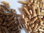 Производство топливные пеллеты Wood pellets - фото 1