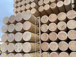 Продам колья окорованные и оцилиндрованные - фото 2