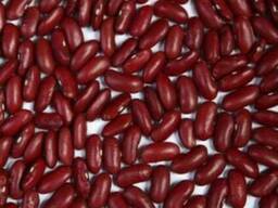 Фасоль Quality 3D beans from Kyrgyzstan