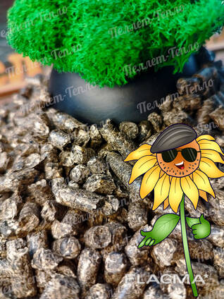 Saulėgrąžų lukštų granulės