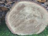 Слэб (дуб) торцевой диаметр 1,5-1,9 м сушка 2 года в естественной среде