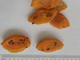 Soft Dry Tropical Fruits from Vietnam - photo 3
