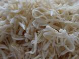Сушеный кальмар от завода из Китая - фото 3