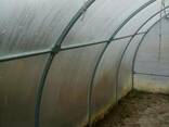 Теплица - фото 1