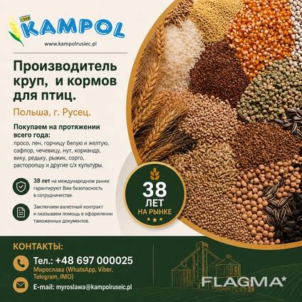 Тмин куплю