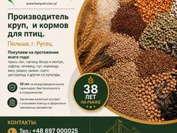 Тмин куплю