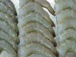 Vannamei Shrimp — Frozen Seafood Supply - фото 1