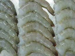Vannamei Shrimp — Frozen Seafood Supply