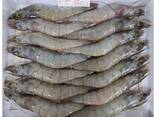 Vannamei Shrimp — Frozen Seafood Supply - фото 2