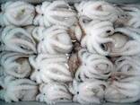 Whole Clean Octopus — Frozen - фото 2