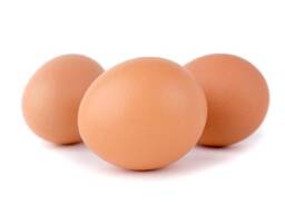Wholesale Organic Fresh Chicken Table Eggs &amp; Fertilized Hatching Eggs/ Farm Table eggs