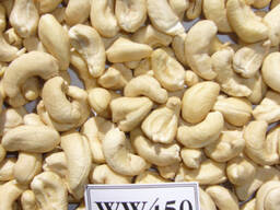 Wholesale Vietnamese High Quality Raw Cashew Nuts
