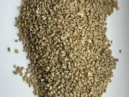 Ядро соняшника