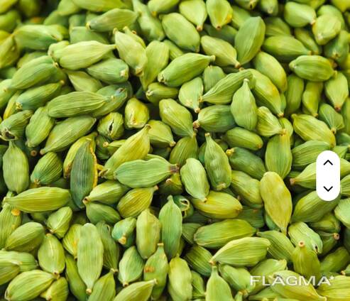 Žaliasis kardamonas